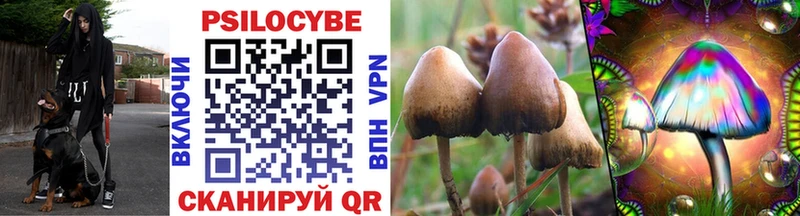 Купить закладки  Лобня  Галлюциногенные грибы GOLDEN TEACHER 